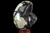 Septarian Dragon Egg Geode - Black Crystals #88512-2